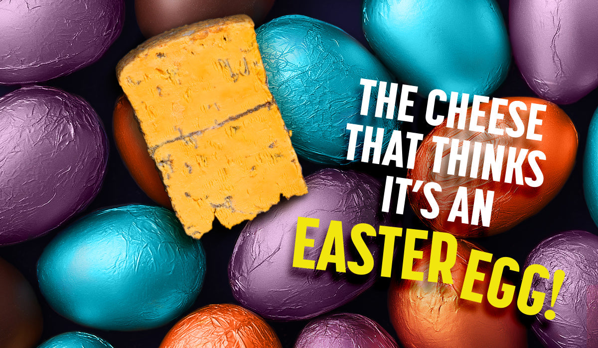 The Cheese That Thinks It's an Easter Egg!