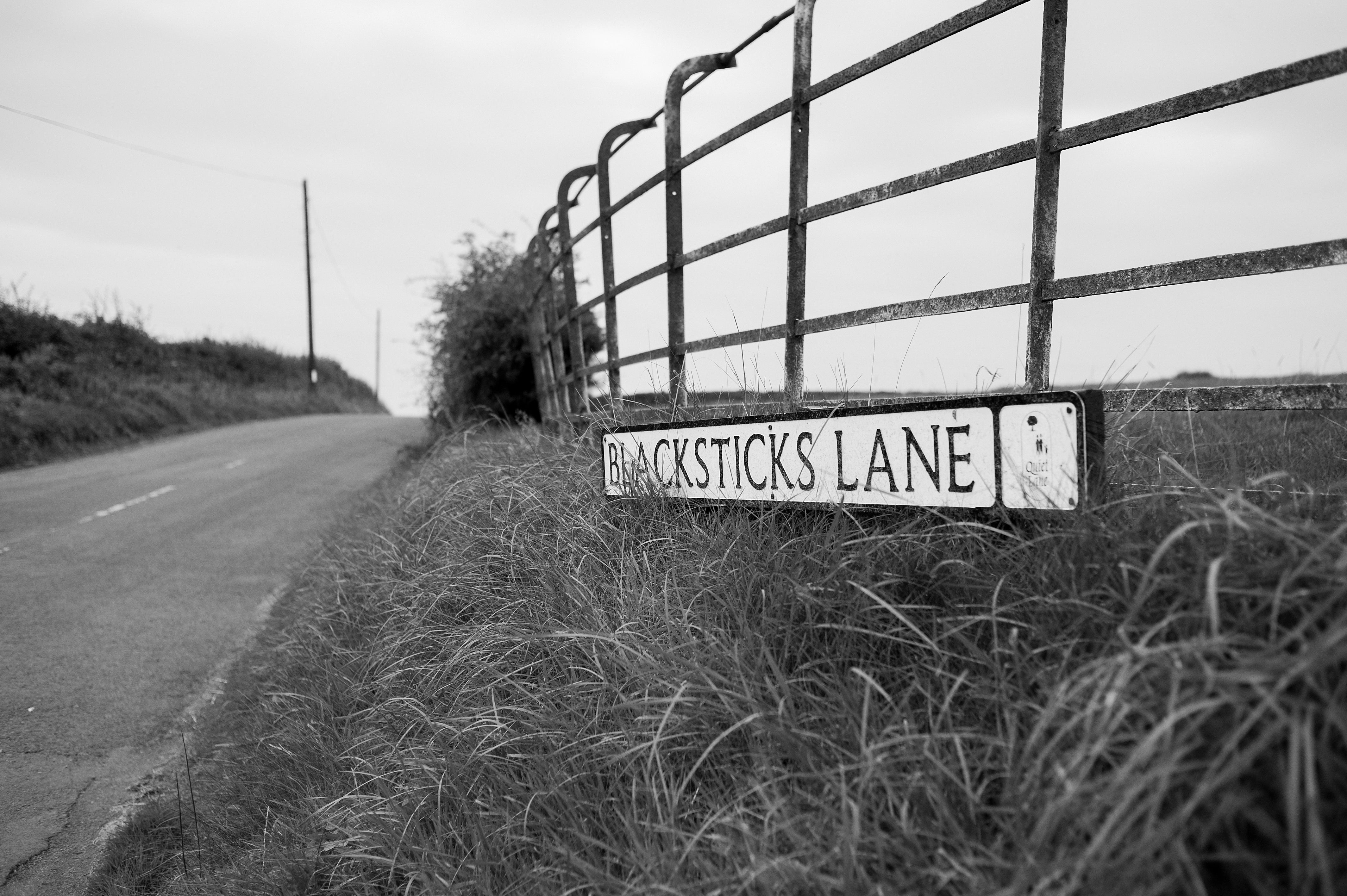 Celebrating Lancashire Day: The Place That Makes Our Cheese Special