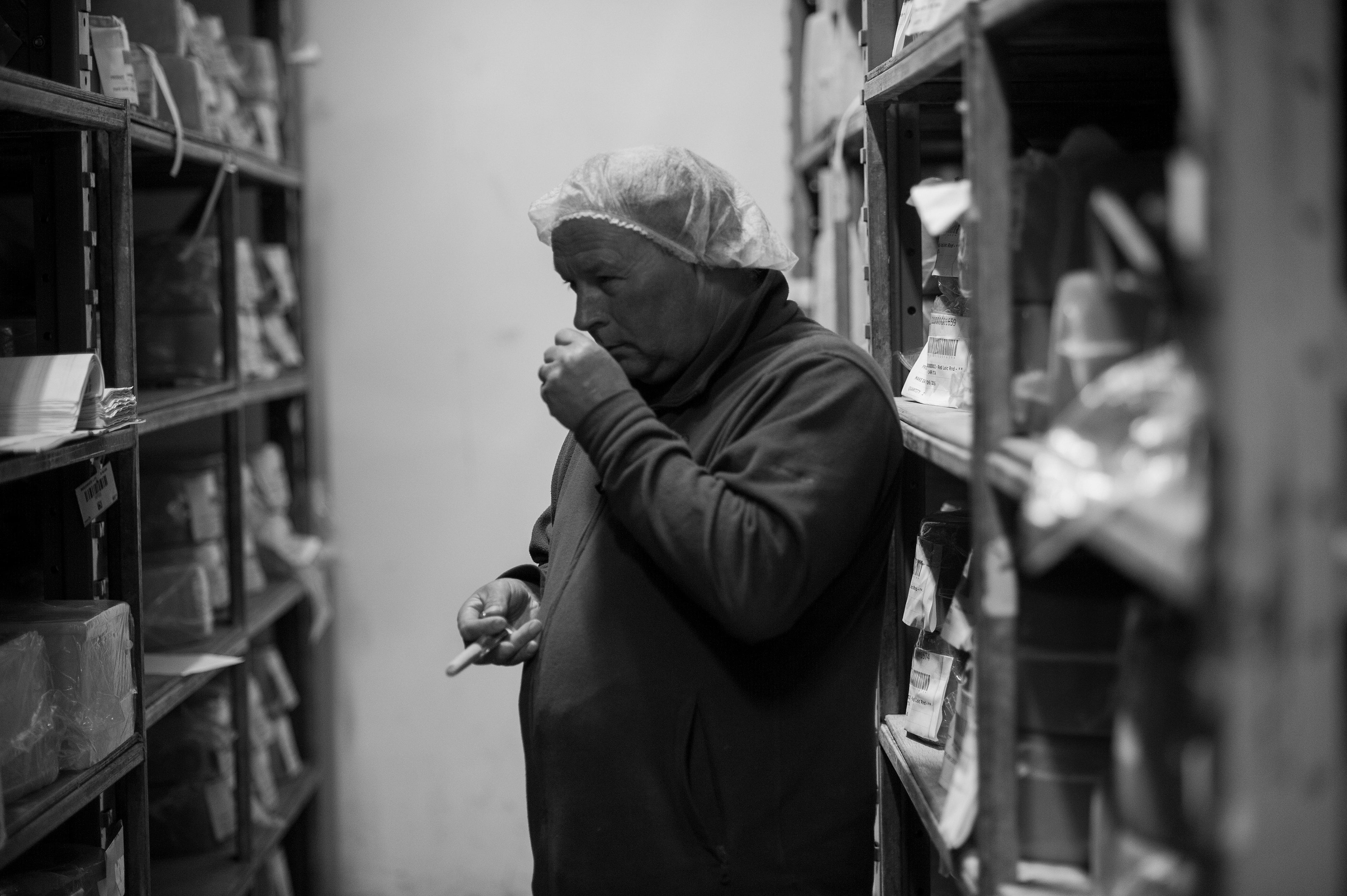 Butlers Farmhouse Cheeses' Cheese Grader smelling a sample of cheese in a storage room.