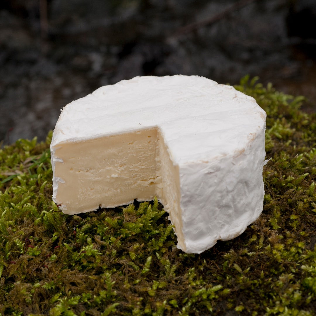 Unbranded Brie