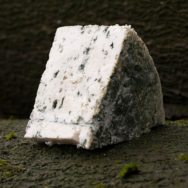 A large slice of Beacon Blue goat's cheese outside. Our award-winning blue cheese.